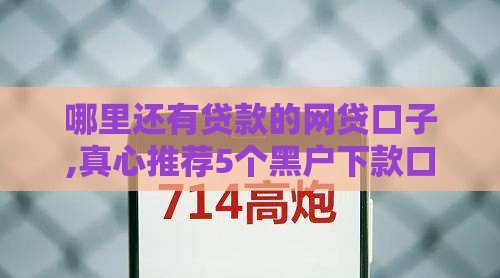哪里还有贷款的网贷口子,真心推荐5个黑户下款口子高炮