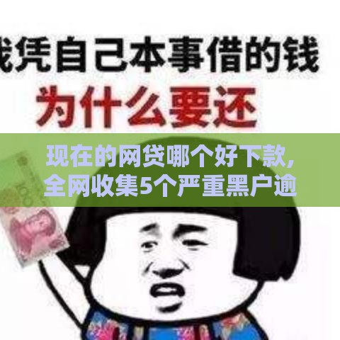 现在的网贷哪个好下款,全网收集5个严重黑户逾期口子