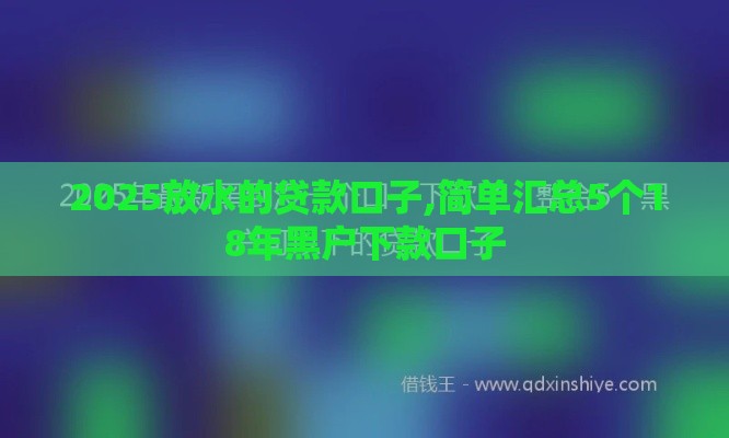 2025放水的贷款口子,简单汇总5个18年黑户下款口子