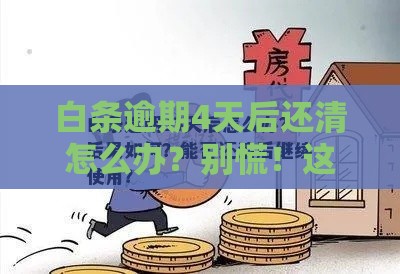 白条逾期4天后还清怎么办？别慌！这5个步骤帮你化解风险！