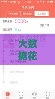 大数据花了也可以下款的口子,归纳整理5个黑户周期长的口子