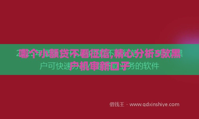 哪个小额贷不看征信,精心分析5款黑户机审新口子