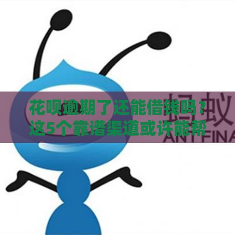 花呗逾期了还能借钱吗？这5个靠谱渠道或许能帮你应急！