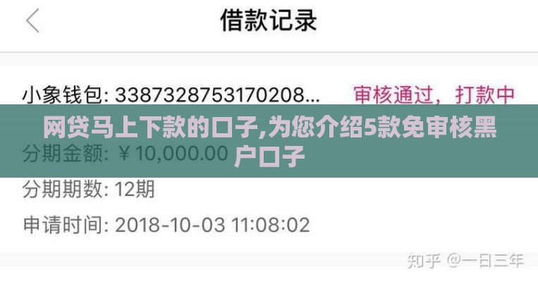 网贷马上下款的口子,为您介绍5款免审核黑户口子