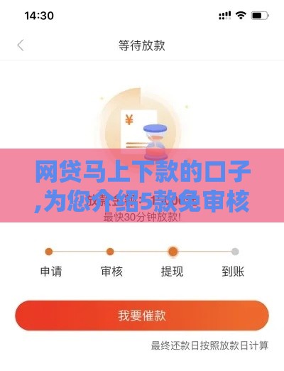 网贷马上下款的口子,为您介绍5款免审核黑户口子