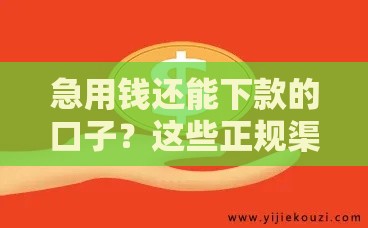 急用钱还能下款的口子？这些正规渠道别错过