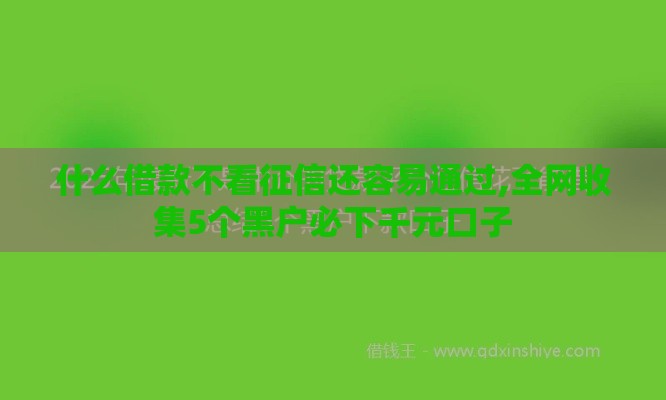 什么借款不看征信还容易通过,全网收集5个黑户必下千元口子