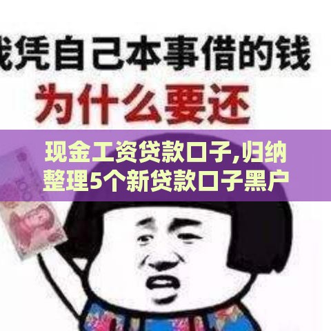 现金工资贷款口子,归纳整理5个新贷款口子黑户
