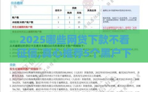 2025哪些网贷下款不看征信,真心推荐5个黑户下款app口子