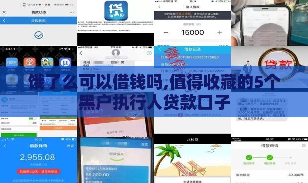 饿了么可以借钱吗,值得收藏的5个黑户执行人贷款口子