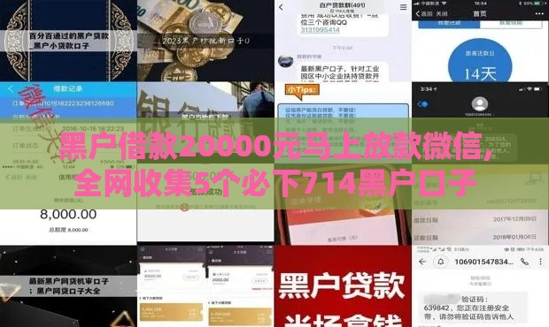 黑户借款20000元马上放款微信,全网收集5个必下714黑户口子