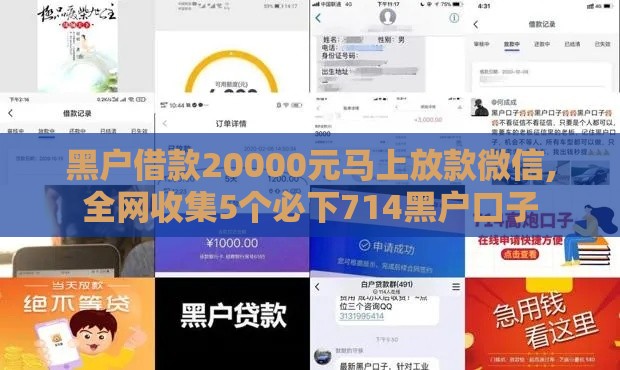 黑户借款20000元马上放款微信,全网收集5个必下714黑户口子