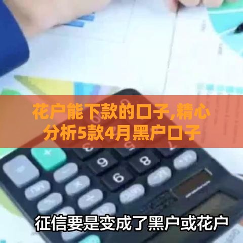 花户能下款的口子,精心分析5款4月黑户口子