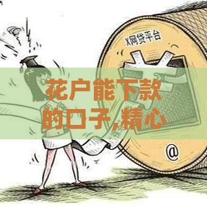 花户能下款的口子,精心分析5款4月黑户口子