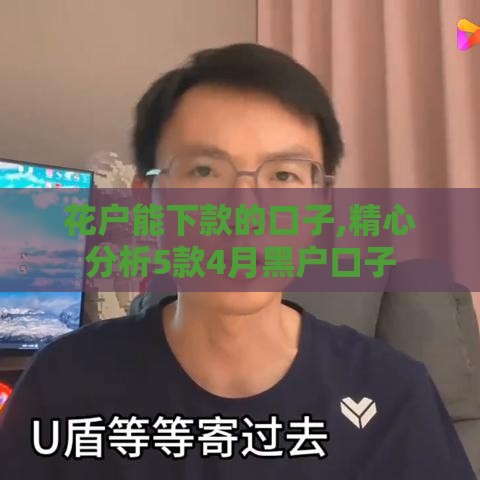 花户能下款的口子,精心分析5款4月黑户口子