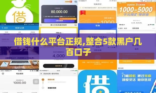 借钱什么平台正规,整合5款黑户几百口子