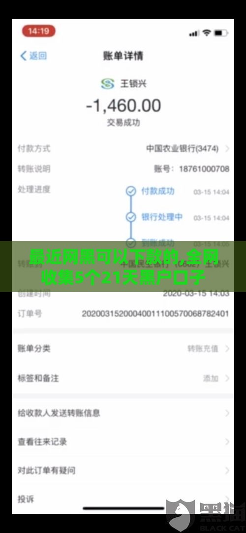 最近网黑可以下款的,全网收集5个21天黑户口子