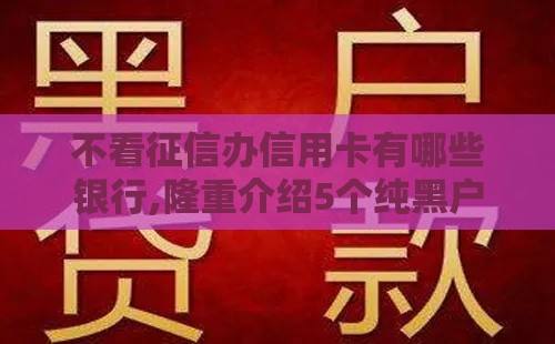 不看征信办信用卡有哪些银行,隆重介绍5个纯黑户能下的口子