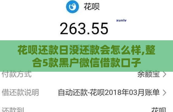 花呗还款日没还款会怎么样,整合5款黑户微信借款口子