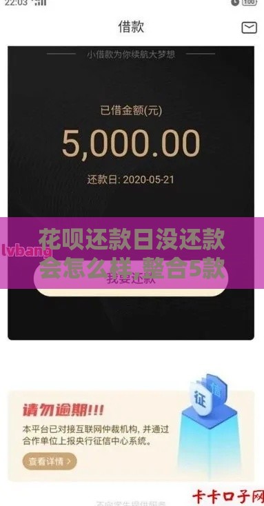 花呗还款日没还款会怎么样,整合5款黑户微信借款口子