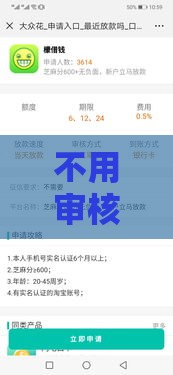 不用审核的借钱软件有哪些,值得收藏的5个黑户口子审核标准