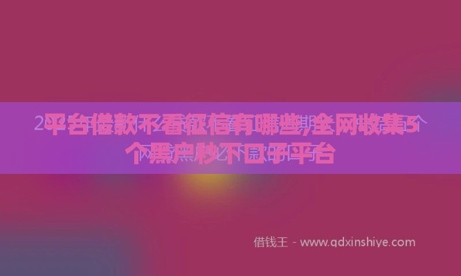 平台借款不看征信有哪些,全网收集5个黑户秒下口子平台