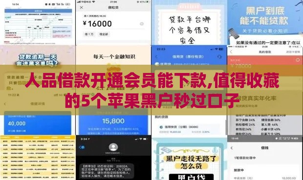 人品借款开通会员能下款,值得收藏的5个苹果黑户秒过口子