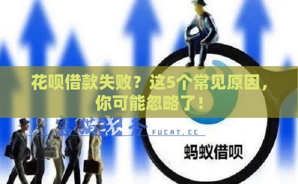 花呗借款失败？这5个常见原因，你可能忽略了！