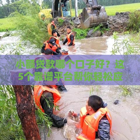 小额贷款哪个口子好？这5个靠谱平台帮你轻松应急！