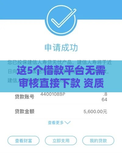 这5个借款平台无需审核直接下款 资质宽松到账快