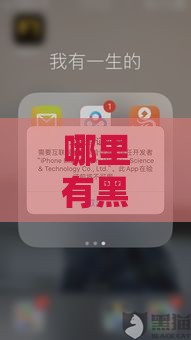 哪里有黑网贷口子,值得收藏的5个黑户包下的口子