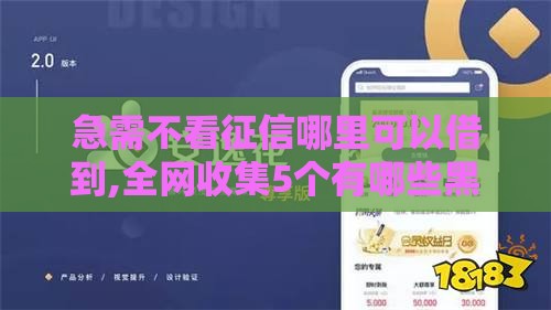 2025年最新上海抵押身份证借钱，试试这5个类似葫芦花借款的平台