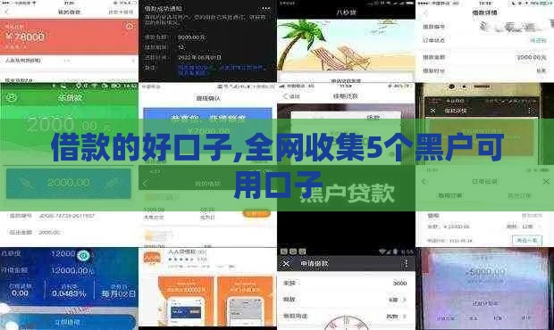 借款的好口子,全网收集5个黑户可用口子
