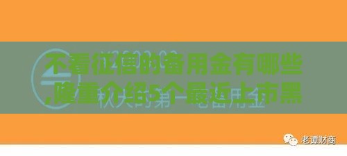 不看征信的备用金有哪些,隆重介绍5个最近上市黑户口子