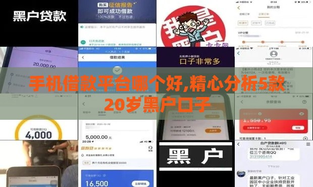 手机借款平台哪个好,精心分析5款20岁黑户口子