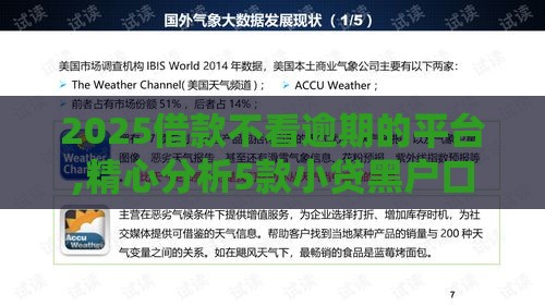 2025借款不看逾期的平台,精心分析5款小贷黑户口子推荐