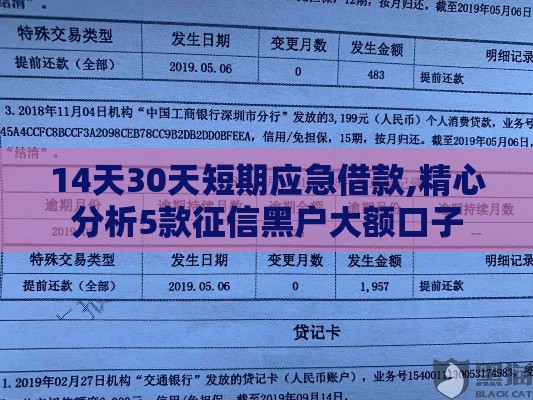 14天30天短期应急借款,精心分析5款征信黑户大额口子