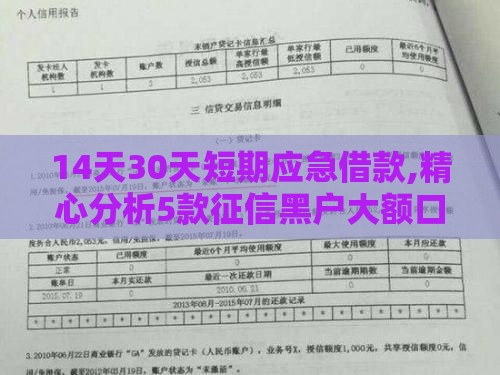 14天30天短期应急借款,精心分析5款征信黑户大额口子