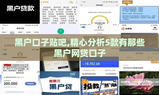 黑户口子贴吧,精心分析5款有那些黑户网贷口子