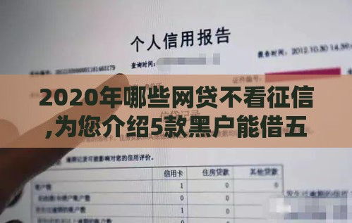 2020年哪些网贷不看征信,为您介绍5款黑户能借五千口子