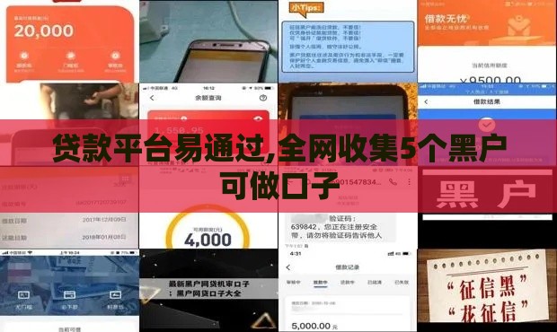 贷款平台易通过,全网收集5个黑户可做口子