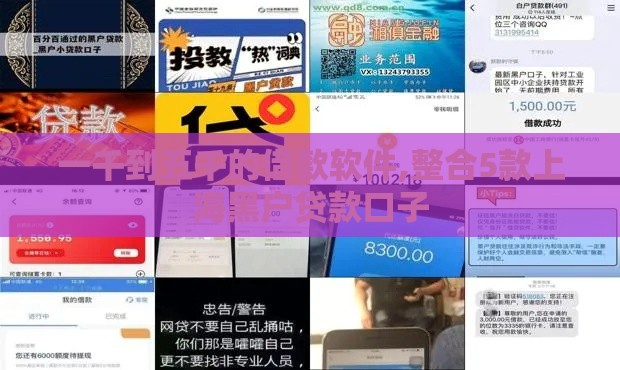 一千到五千的借款软件,整合5款上海黑户贷款口子