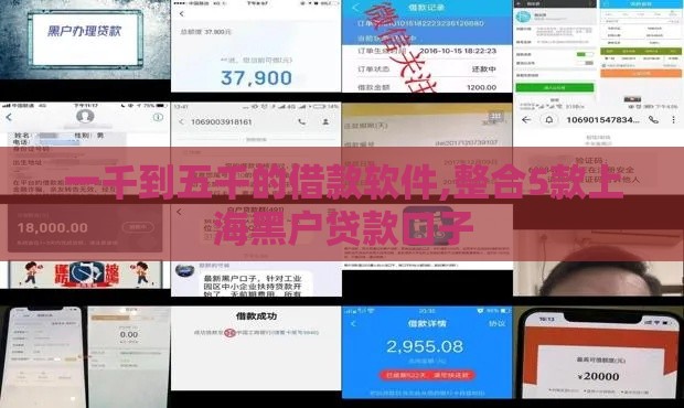 一千到五千的借款软件,整合5款上海黑户贷款口子