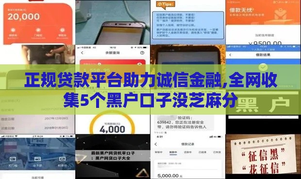 正规贷款平台助力诚信金融,全网收集5个黑户口子没芝麻分