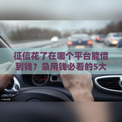 征信花了在哪个平台能借到钱？急用钱必看的5大平台推荐！