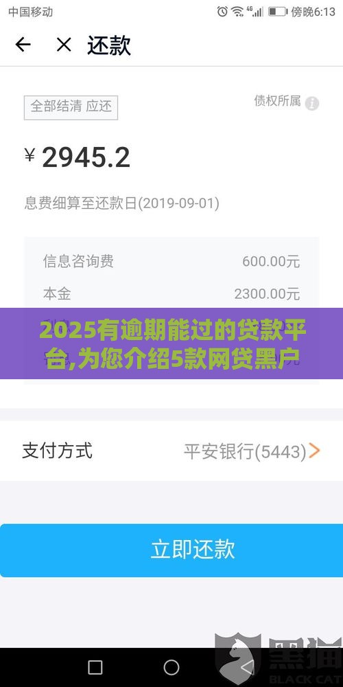 2025有逾期能过的贷款平台,为您介绍5款网贷黑户的下款口子 2025有逾期能过的贷款平台,为您介绍5款网贷黑户的下款口子