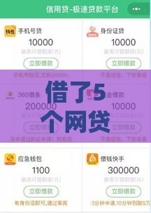 借了5个网贷后已经不能借了,为您介绍5款能抢额度的黑户口子
