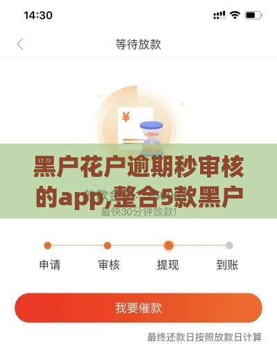 黑户花户逾期秒审核的app,整合5款黑户必下小贷口子