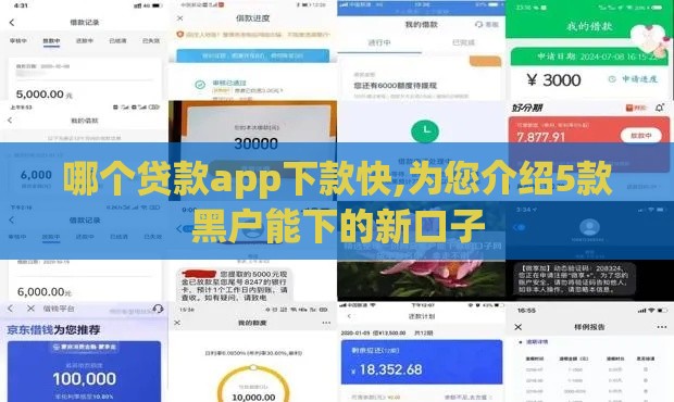 哪个贷款app下款快,为您介绍5款黑户能下的新口子
