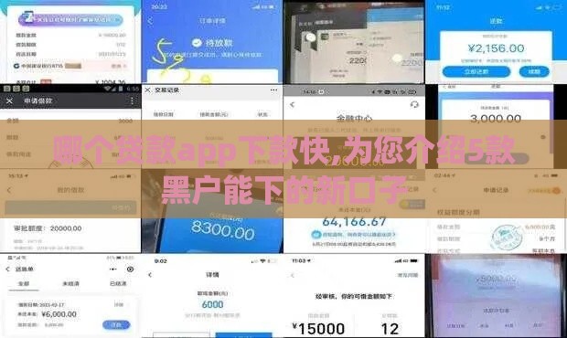 哪个贷款app下款快,为您介绍5款黑户能下的新口子